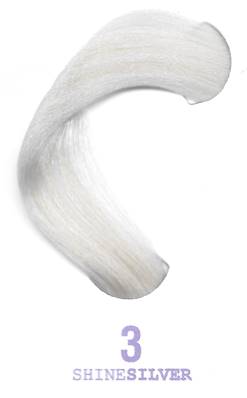 Elgon I/light 3 Shinesilver 100 ML - photo 2