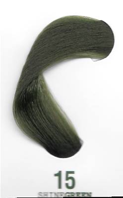 Elgon I/light 15 Shine Green 100 ML - photo 2