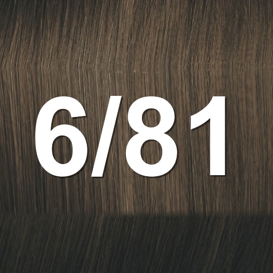 6/81