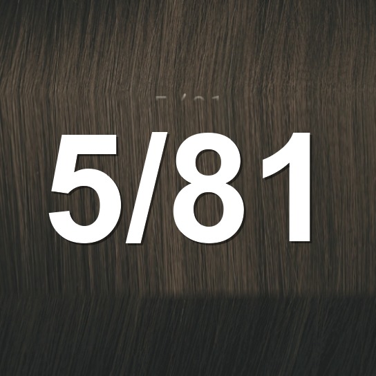 5/81