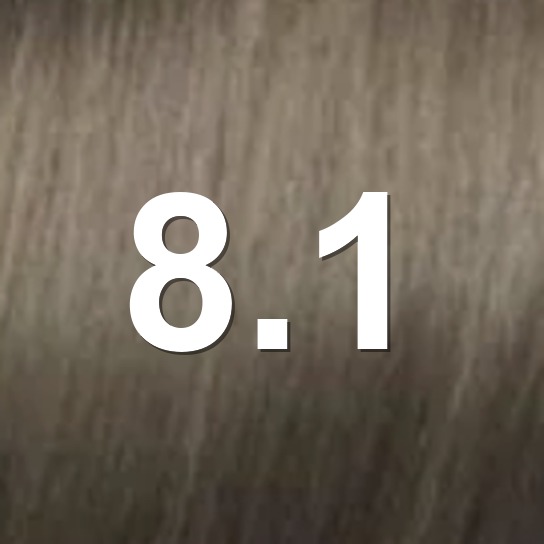 8.1