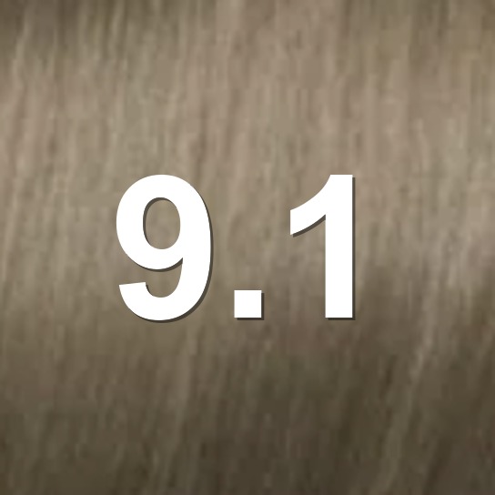 9.1