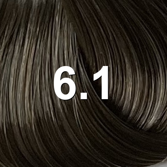 6.1