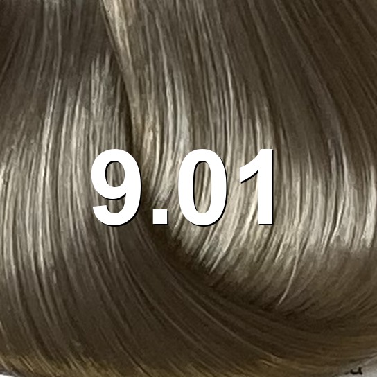Nuance Elgon Imagea Couleur En Gel 60ml Num9.01