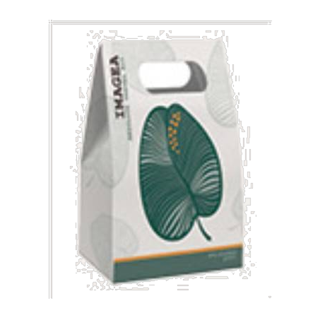 ELGON IMAGEA ABSOLUTE TRAVEL KIT